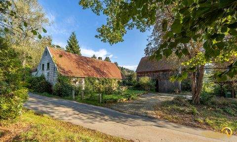 Trausnitz Häuser, Trausnitz Haus kaufen