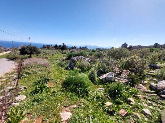 WhatsApp Image 2024-03-12 at 14.15.51_b6d65ad3.jpg