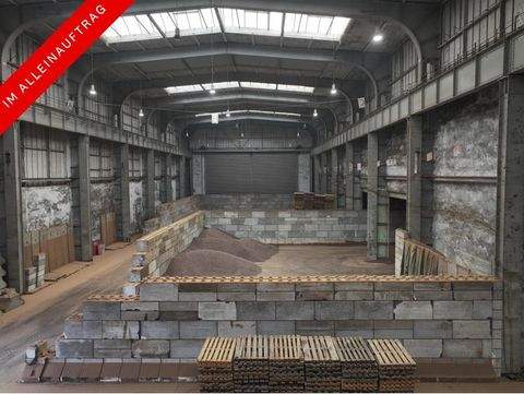 Hamburg Halle, Hamburg Hallenfläche