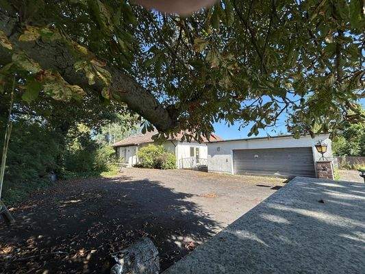 ...Blick über die Gartenmauer