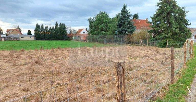 Grundstücksansicht 01 - Blick zur Nachbarseite