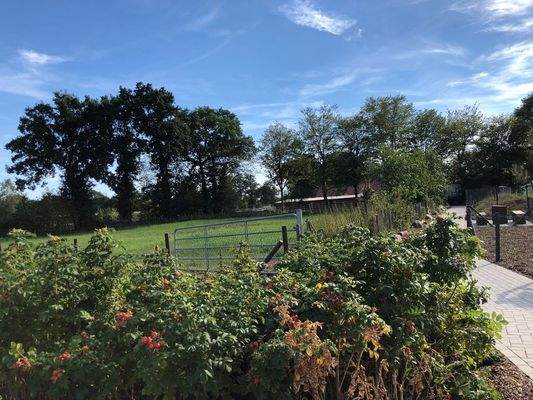 Weidefläche-Bauland