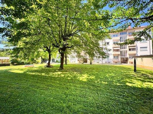 Parkähnliches Gelände, vor und hinter dem Haus