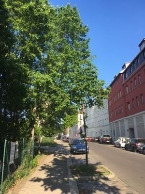 Bild 17