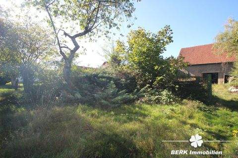 Stockstadt am Main Häuser, Stockstadt am Main Haus kaufen