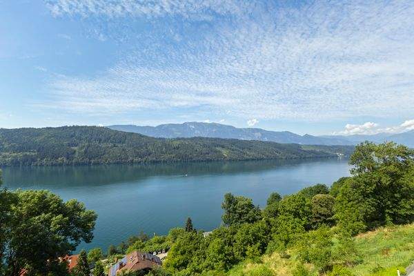 Ausblick