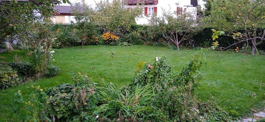 Grundstück Blick in den Garten