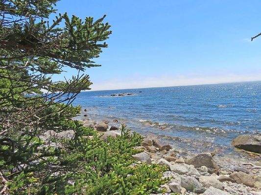 Nova Scotia - Grover?s Point - Wunderschönes Uferg