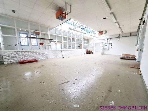 Delmenhorst Halle, Delmenhorst Hallenfläche