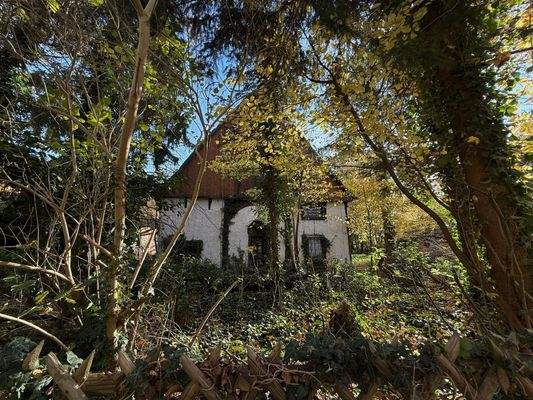 Impressionen - außen