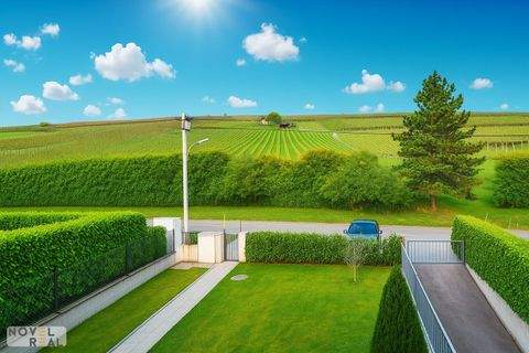 Wien Häuser, Wien Haus mieten 