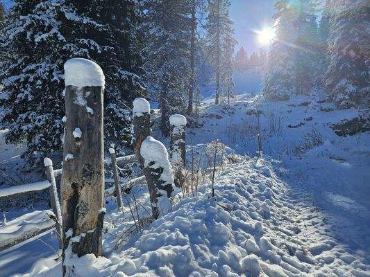 Richtung Märchenwaldpiste