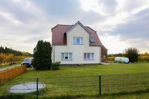 Jessen (Elster) Häuser, Jessen (Elster) Haus kaufen