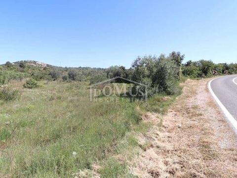 Sibenik Bauernhöfe, Landwirtschaft, Sibenik Forstwirtschaft