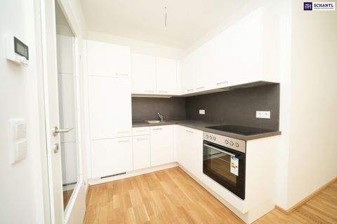 Kalsdorf bei Graz Wohnungen, Kalsdorf bei Graz Wohnung mieten