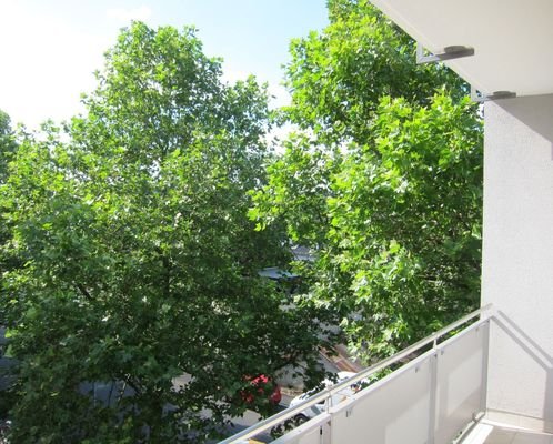 Blick vom Balkon.jpg