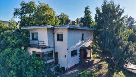 Mainz Häuser, Mainz Haus kaufen