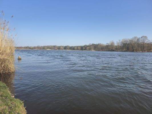 Blick auf den Neuendorfer See