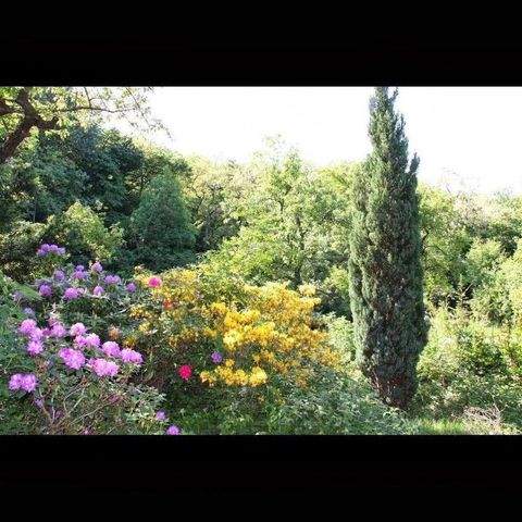 Wien Häuser, Wien Haus kaufen
