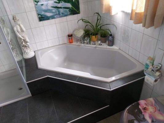 3. Whg. EG Haupthaus Bad