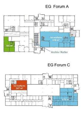 EG Forum A+C