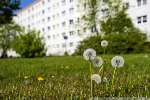 Halle (Saale) Wohnungen, Halle (Saale) Wohnung mieten