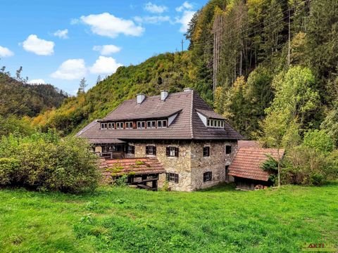 Neuberg an der Mürz Häuser, Neuberg an der Mürz Haus kaufen