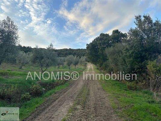 Auffahrt auf den Hügel