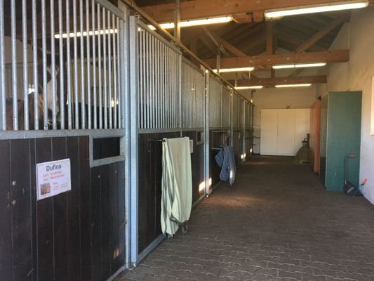Stall innen
