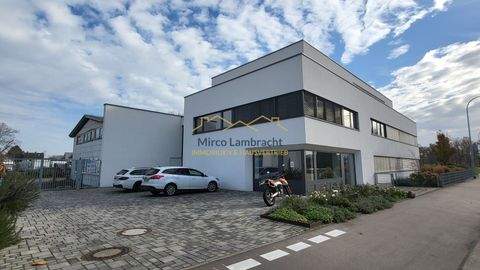 Breisach am Rhein Ladenlokale, Ladenflächen 