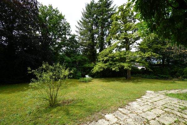 DSC02526 - Kopie.JPG