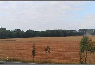 IMG_20260721_180943.jpg