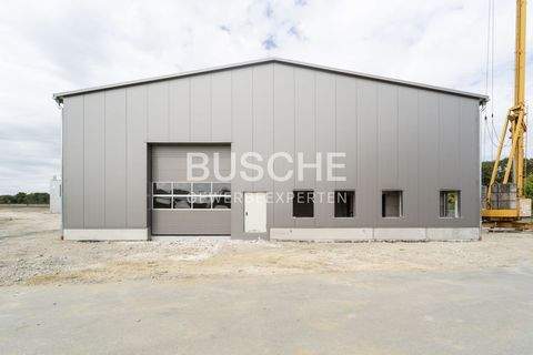 Nordwalde Halle, Nordwalde Hallenfläche