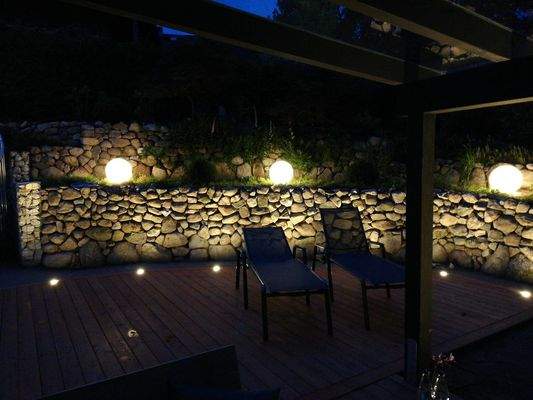 Garten bei Nacht.jpeg