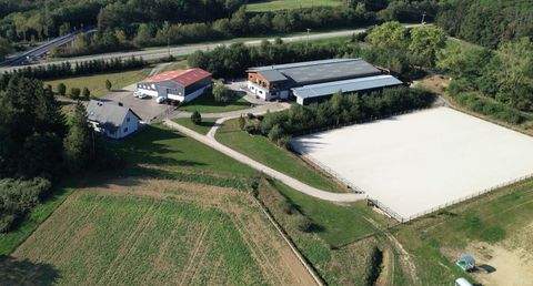 Soppe-le-Bas Bauernhöfe, Landwirtschaft, Soppe-le-Bas Forstwirtschaft