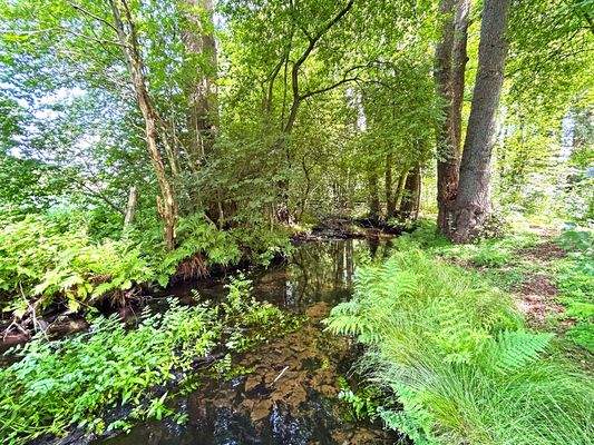Direkt an der alten Seeve