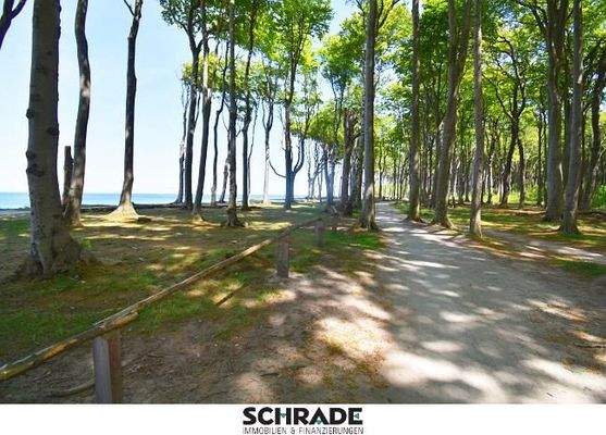 ...und anschließend geht´s zur Ostsee