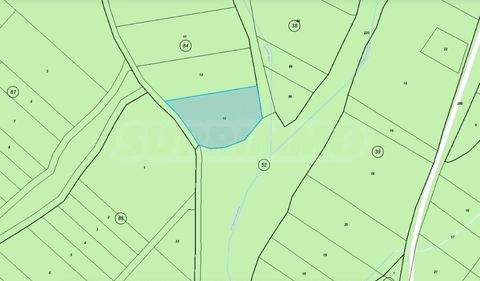 Gorna malina Bauernhöfe, Landwirtschaft, Gorna malina Forstwirtschaft