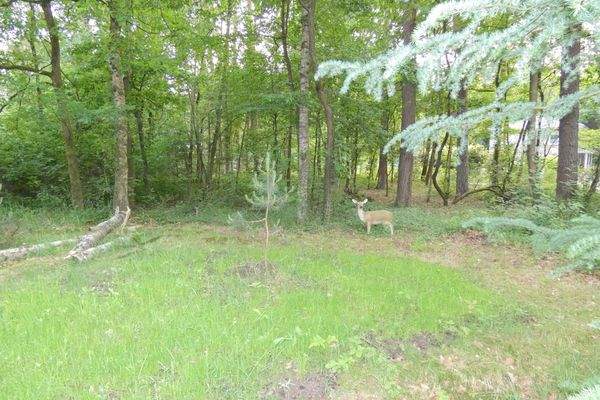 mit genug Platz zum Wohlfühlen