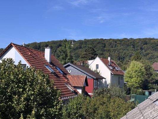 Blick a.d. Hofheimer Kapelle