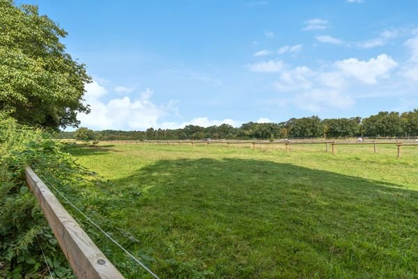 Ausblick auf die angrenzende Pferdeweide