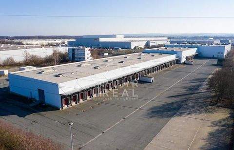 Unna Halle, Unna Hallenfläche