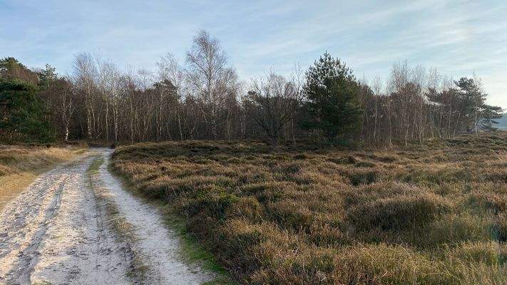 Grundstücke Nordseite