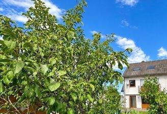 Ansicht Garten