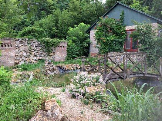 Forest House near fish pond