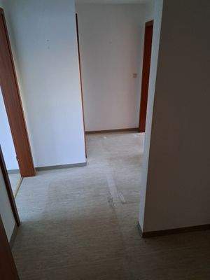 WhatsApp Image 2024-01-08 at 10.44.00.jpeg