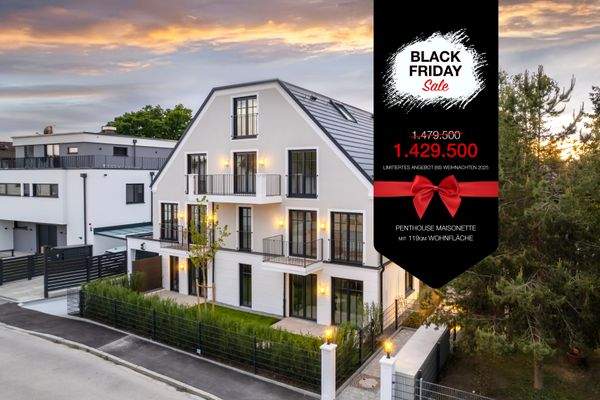 TS25 - Black Friday SALE - WHG6.jpg