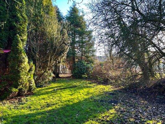 Blick in den grünen Garten