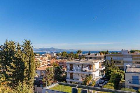 Antibes Wohnungen, Antibes Wohnung kaufen