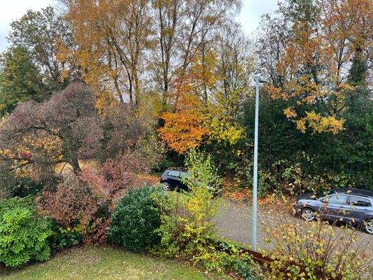 Garten/Straßenseite